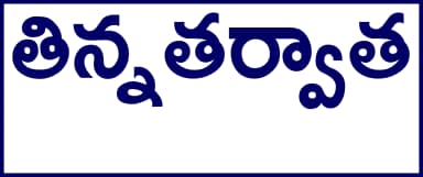 Telugu Prescription Stickers — S.No. 20 prescription stickers for doctors and pharmacies, 25 mm × 13 mm