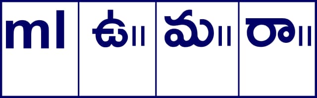 Telugu Prescription Stickers — S.No. 25 prescription stickers for doctors and pharmacies, 35 mm × 13 mm